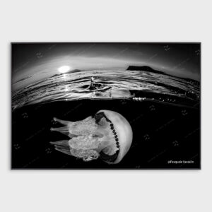 "La goccia"- Fotografia d'autore