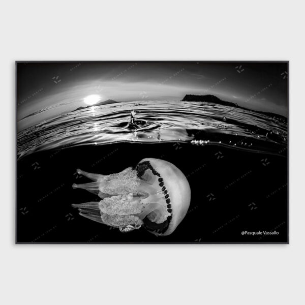 "La goccia"- Fotografia d'autore