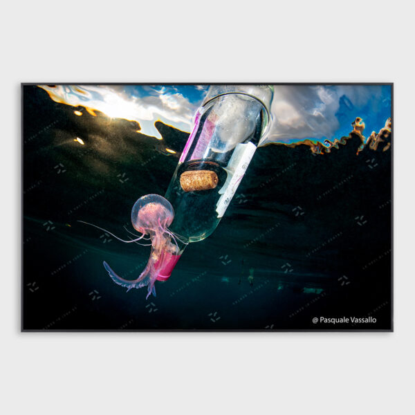 Message in a bottle – Fotografia d’autore