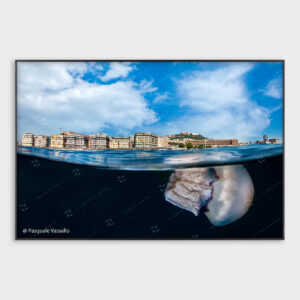 Parthenope – Fotografia d’autore