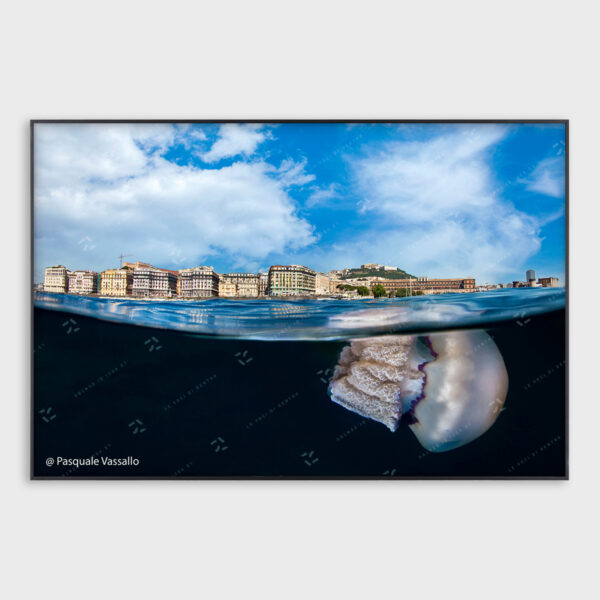 Parthenope – Fotografia d’autore