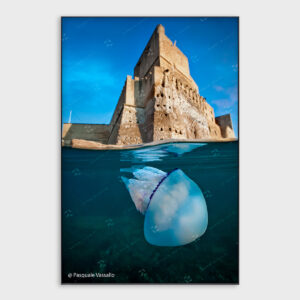 Parthenope Megaride – Fotografia d’autore